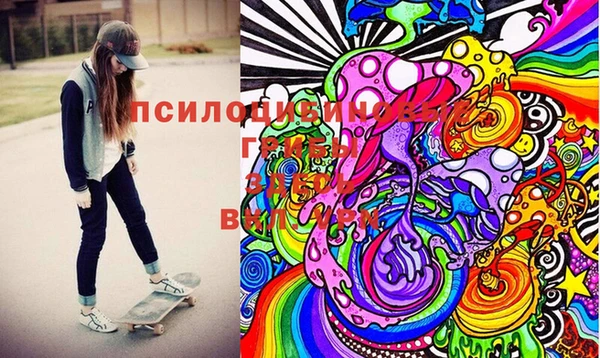 spice Зерноград